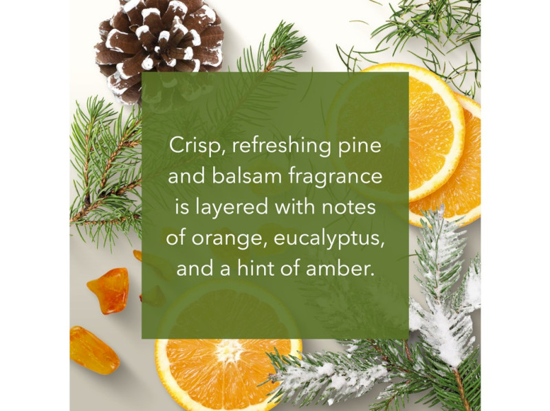 41388-frosted pine - v